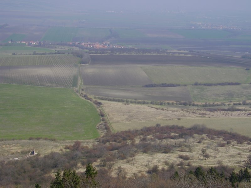 p4200003.jpg