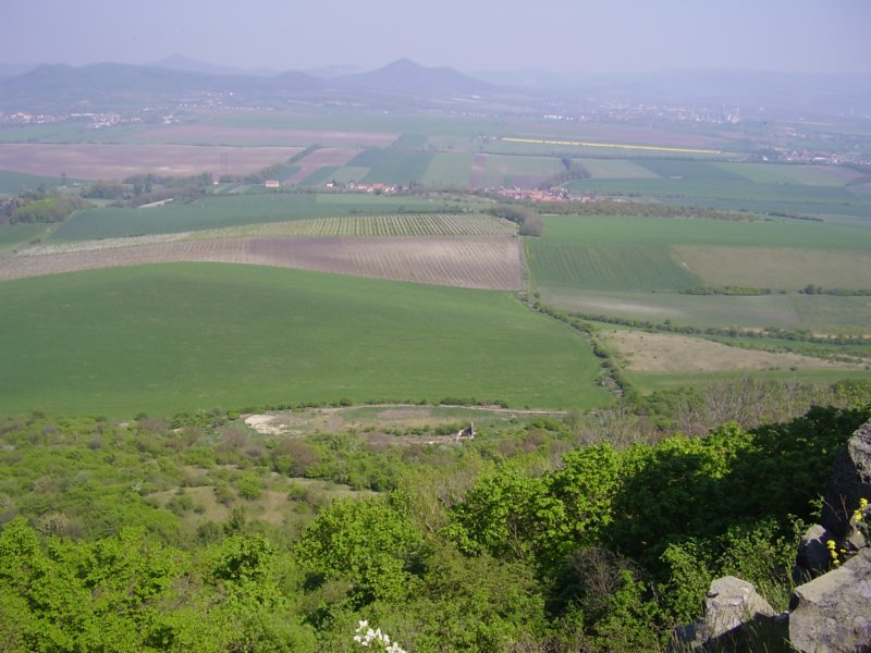 p4270005.jpg